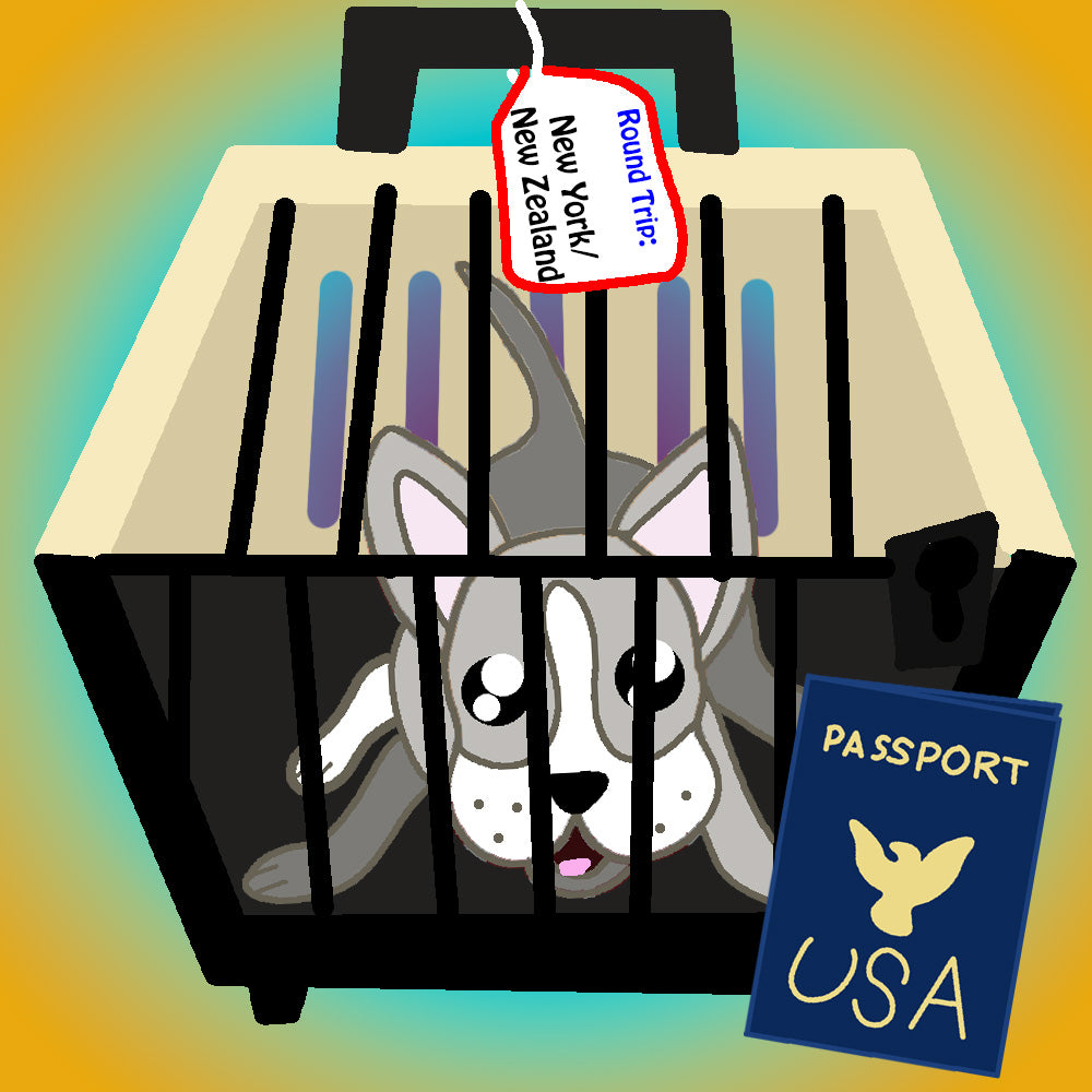 Paws and Planes: Adventures in Pet-Friendly Travel