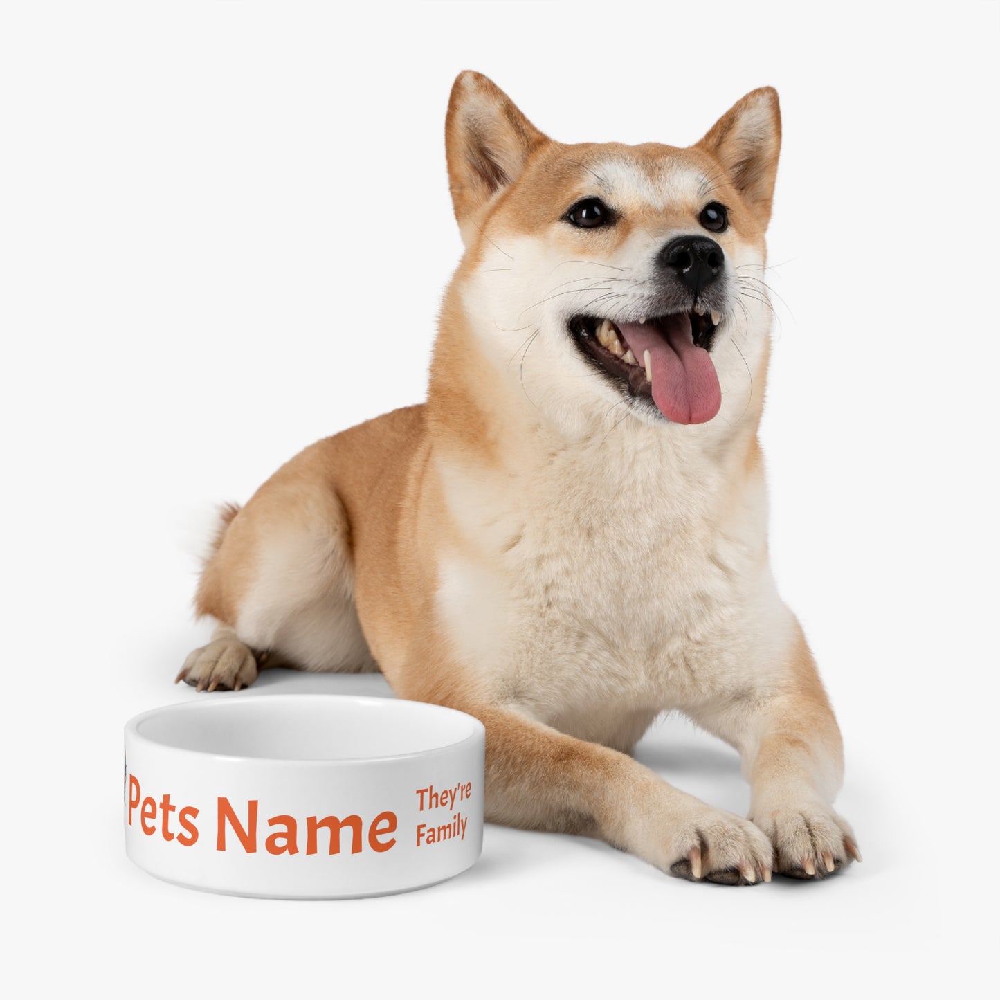 Personalized Pet Bowl with Custom Pet Name and Not Just Pets Logo